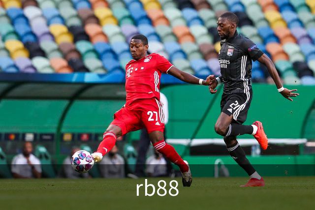 rb88公司简介图片